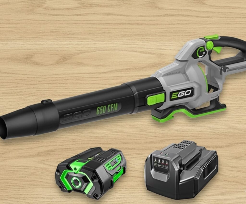 10 Best Electric Leaf Blowers 1