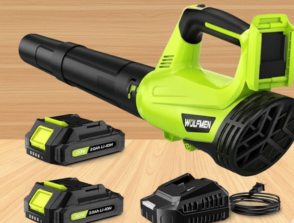 10 Best Electric Leaf Blowers 7