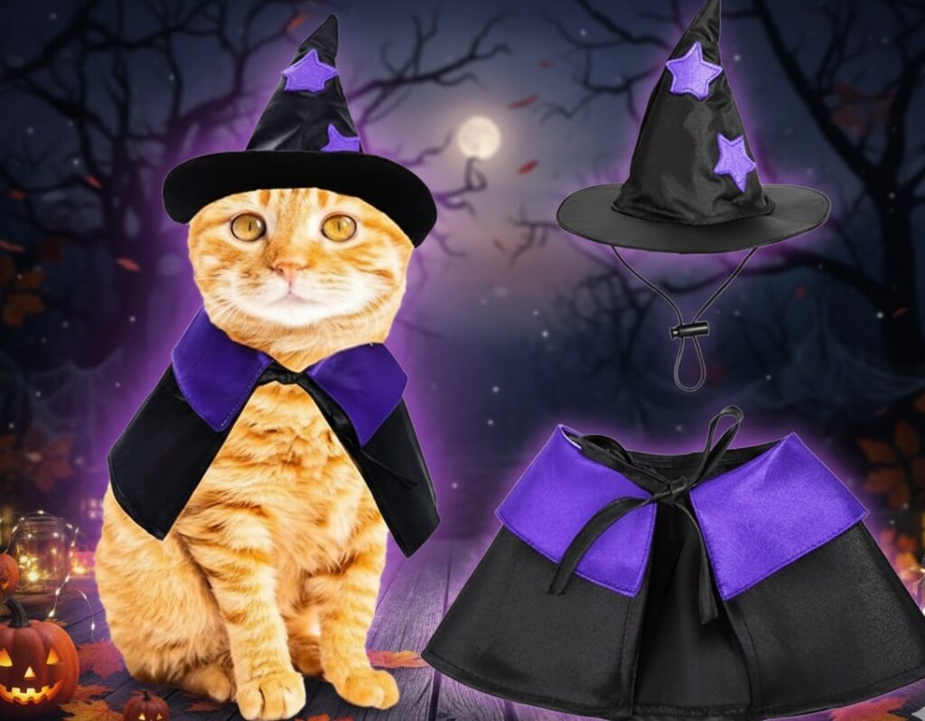 10 Best Halloween Costumes for Pets 4