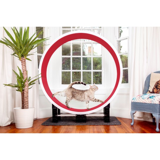 Ferris Cat Wheel by ZiggyDoo featuring a wide track and safe modular design for active breeds