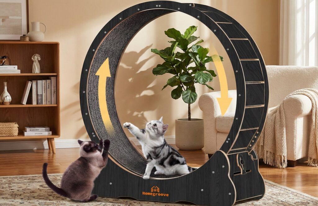 Homegroove solid wood cat wheel featuring silent spinners and a replaceable carpet track