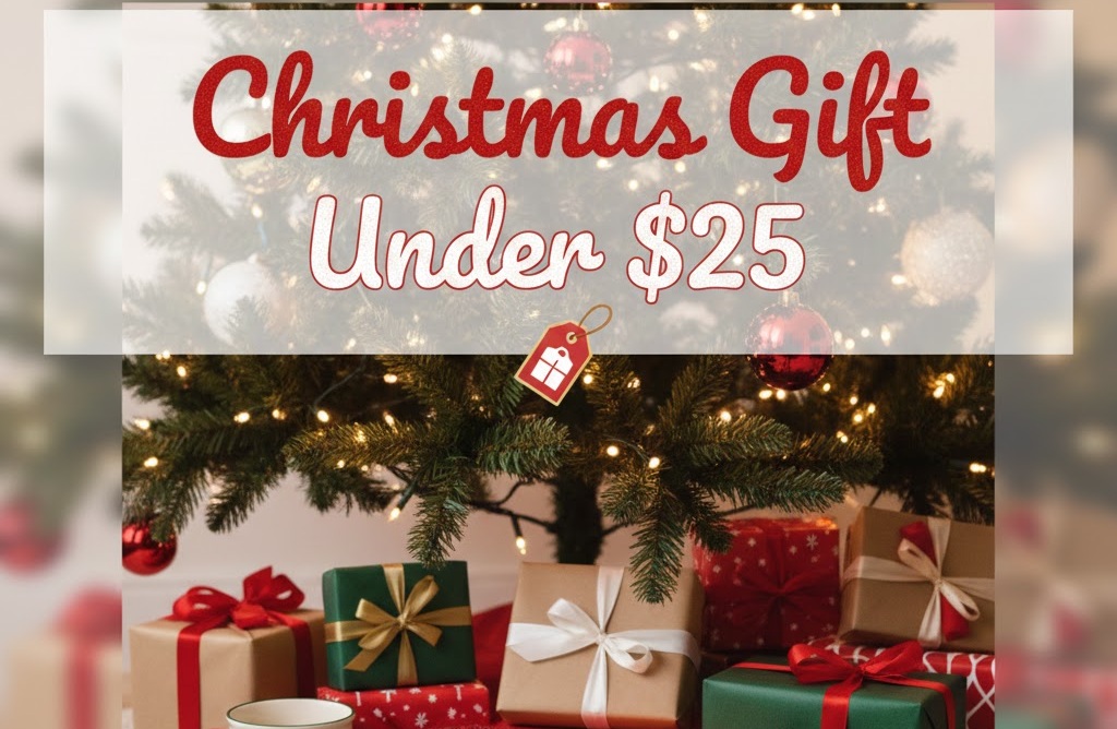 Christmas Gift Under $25